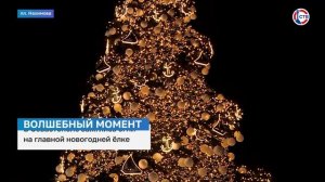 В Севастополе зажглись огни на главной новогодней ёлке