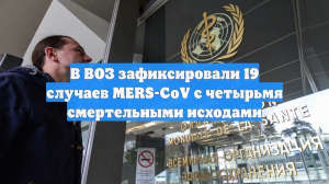 В ВОЗ зафиксировали 19 случаев MERS-CoV с четырьмя смертельными исходами