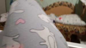 рассказываем новости 🐱😇.mp4