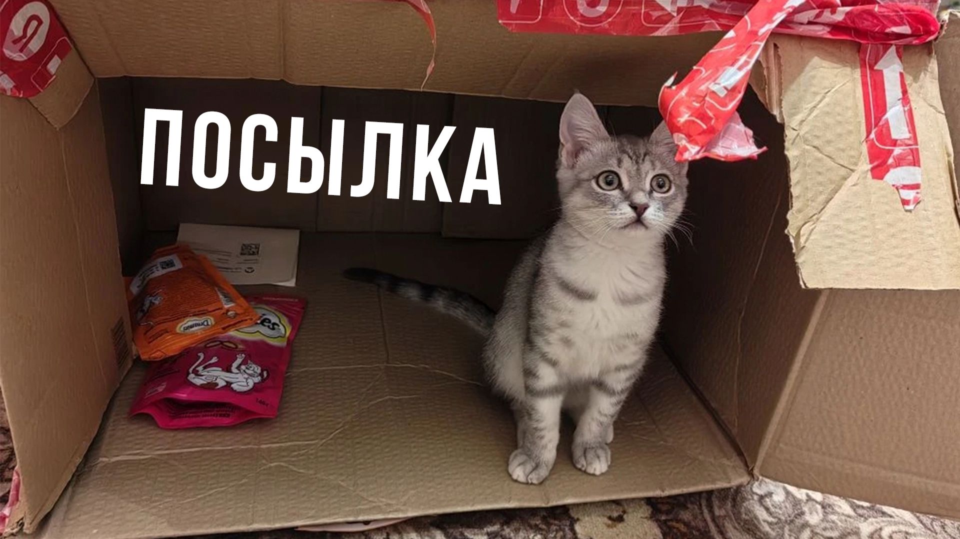 Распаковка посылки от меня для родителей в Курск смотреть онлайн