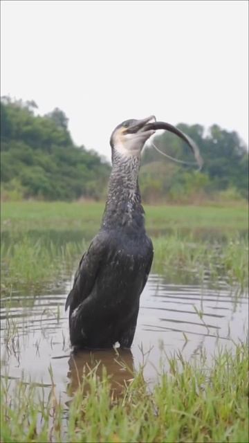 Вот это рыбалка смотреть онлайн