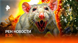 Холод — на максимум / Вторая чума в Европе / Болеть можно выгодно / РЕН Новости 8:30, 25.12.25