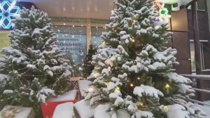 Небольшая прогулка 24 декабря. Южно-Сахалинск.mp4