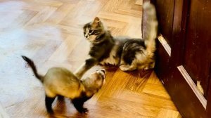 Так здорово видеть как оживает Лара и радуется каждой возможности поиграть с подружками)