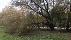 Воспоминания: Осень 2025 (часть 1)