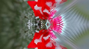 С Днём Рождени!!! Зимняя сказка для Единственной 5 от Киностудии Мудрого Кота Тимофея!