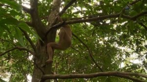 Голые и напуганные 9 сезон 13 серия (реалити-шоу, 2018)