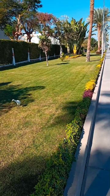 ЕГИПЕТ / Шарм-эль-Шейх / Красное море