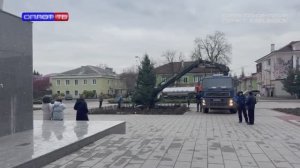 Ёлка на вырост