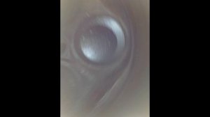 WHLU5554963-JMAS03920-0