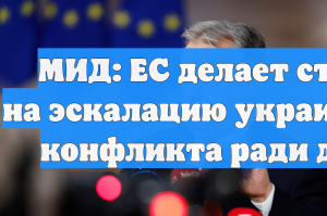 МИД: ЕС делает ставку на эскалацию украинского конфликта ради денег