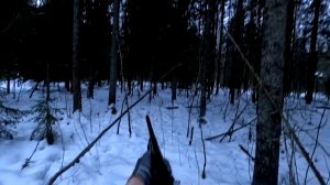 ОХОТА НА ЗАЙЦА БЕЛЯКА В ОТТЕПЕЛЬ С ГОНЧЕЙ! МАТЁРЫЙ ЗАЯЦ!