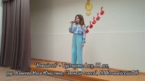 Новый год - Туктарова Алсу, 11 лет