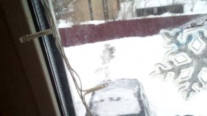 VID_20251222_170804.3gp