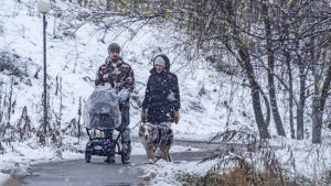 Синоптик спрогнозировала снег в Москве и Подмосковье на Новый год