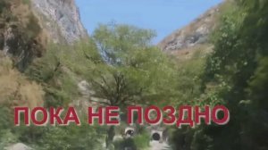 ПОКА НЕ ПОЗДНО - Жанна Вишнякова Арс