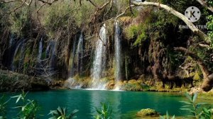 мы родились в Сибири//дед барин скинул бабку с лопаты//обзор канала