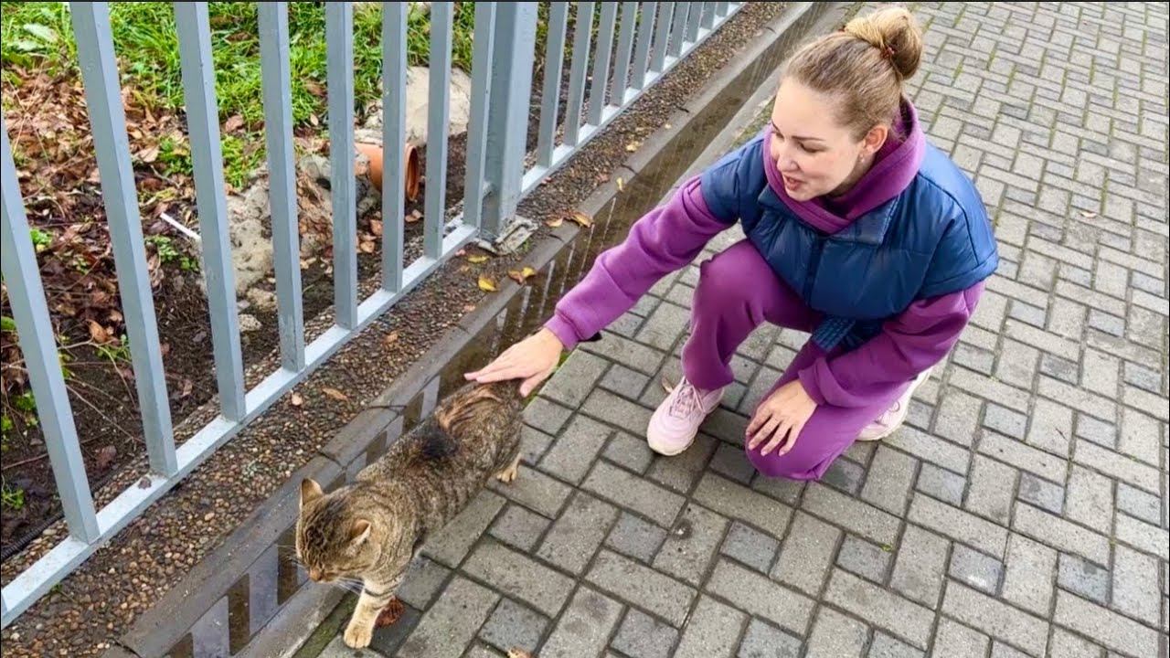 ВЛОГ Как ОТПРАЗДНОВАТЬ День рождения ПОДРОСТКА 13 лет ? Кормим кошек и собак на Набережной Анапы ! смотреть онлайн