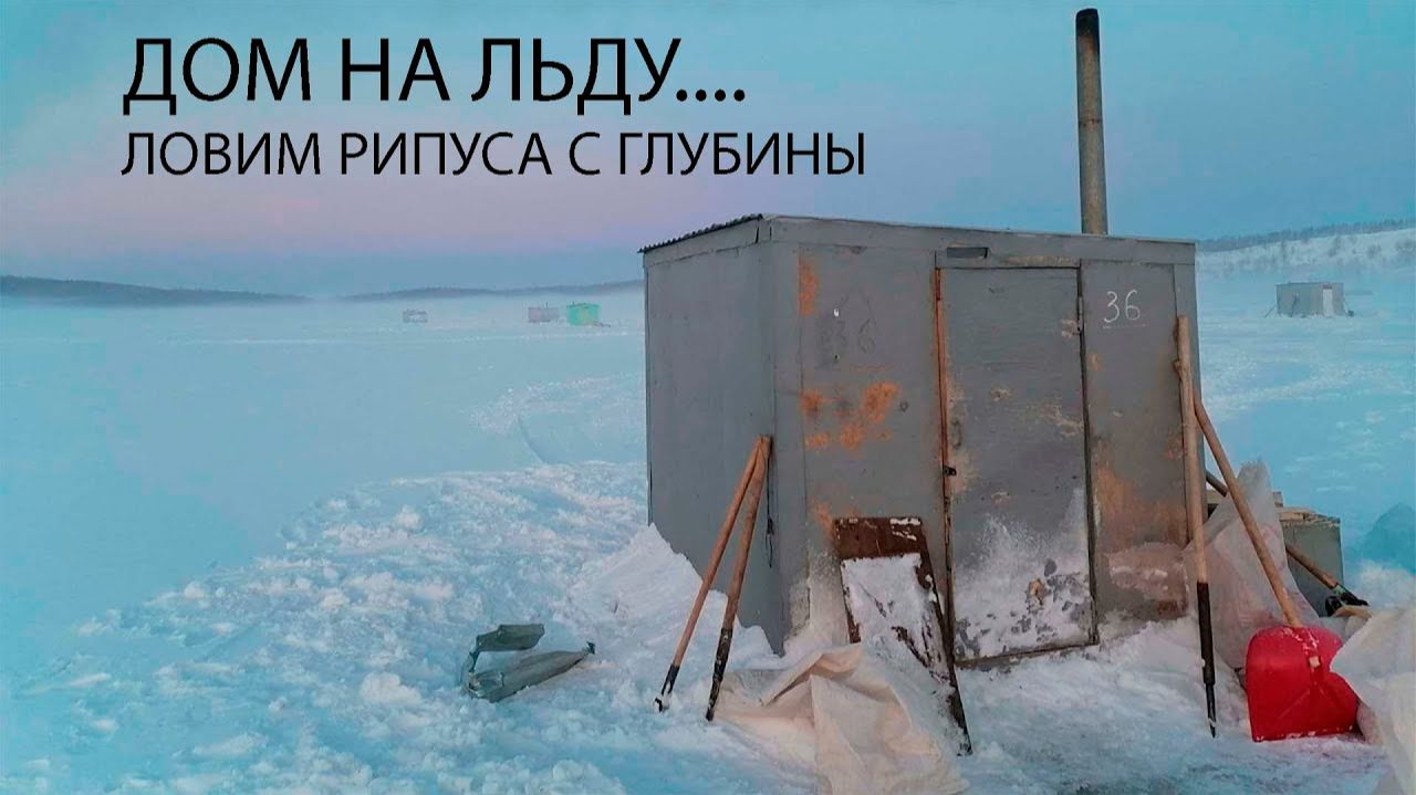 Эта ПРИМАНКА для РИПУСА Действует 100%"  Рыбалка в Тёплой Будке на льду 2025 в Декабре Со ЛЬДА!!! смотреть онлайн