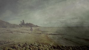 16 - On the Trail of an Ant