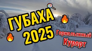 Губаха 2025