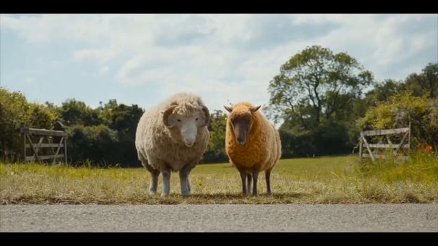 трейлер следствие ведут овечки 2026 смотреть онлайн