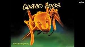 Guano Apes — Open Your Eyes