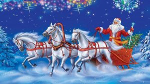 Мандарины, апельсины, оливье, шампанское!