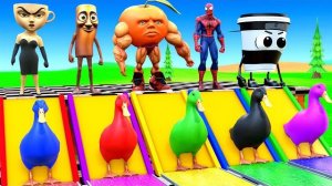 ДЛИННАЯ ГОРКА! ТУНГ САХУР ЗЕБРА ЛОШАДЬ ЧЕЛОВЕК ПАУК ВЕСЕЛЫЙ БРЕЙНРОТ! ЦВЕТА ДЛЯ ДЕТЕЙ РЕАКЦИЯ