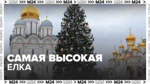Кремлевская елка вошла в топ-10 самых высоких новогодних деревьев мира