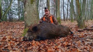 Загонная ОХОТА 2025. Бессмертные ПОДРАНКИ!!!