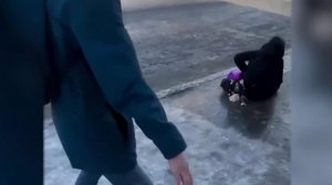 Владивосток утром оказался в ледяном плену.