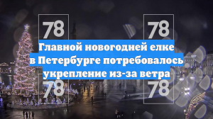 Главной новогодней елке в Петербурге потребовалось укрепление из-за ветра