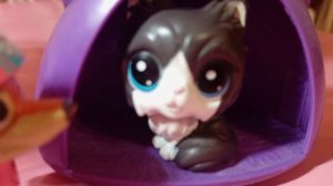 Щенячий патруль 10 серия-"Куда пропала Либерти?"