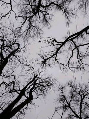 арочьчбчбч