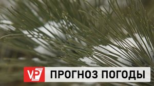 ПРОГНОЗ ПОГОДЫ ПО ВОЛГОГРАДУ И ОБЛАСТИ С 26 ДЕКАБРЯ ПО 1 ЯНВАРЯ