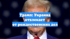 Трамп: Украина отвлекает от рождественских дел