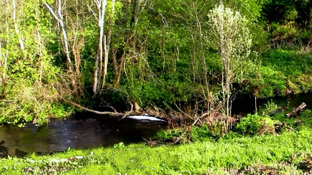 Река Турёнка. Май. смотреть онлайн