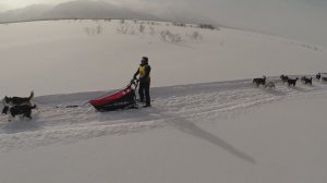 ПОДАВАЙТЕ ЗАЯВКИ!