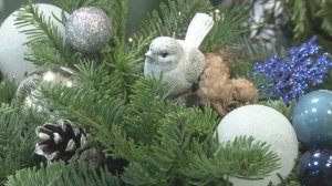 Атмосфера праздника от садового центра Веры Глуховой