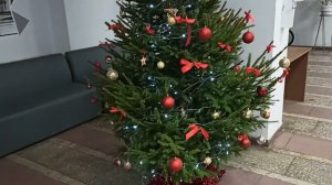 Новогодняя ёлка в 5м корпусе ТулГУ г  Тула