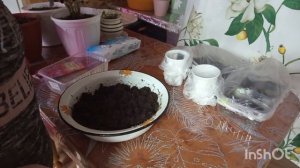 25-12-2025. Жизнь в деревне Завакумировала солёное сало.Посадила черенки.