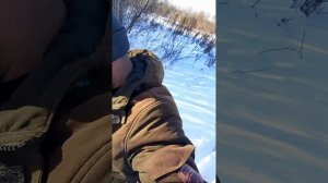 добыл беляка.mp4