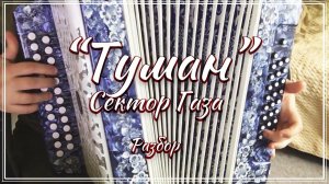 Туман (Сектор Газа) / Подробный разбор на гармони по цифрам смотрите на моем сайте