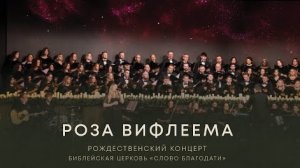 Роза Вифлеема