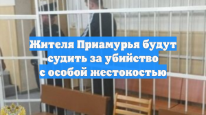 Жителя Приамурья будут судить за убийство с особой жестокостью