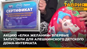 Акцию "Елка желаний" впервые запустили для Алешкинского детского дома-интерната