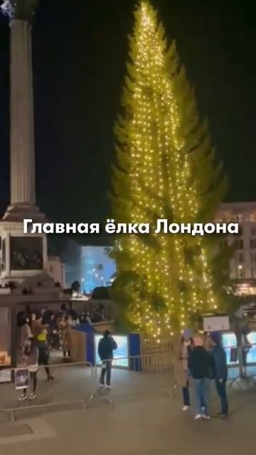 для сравнения🎄🤭😉 смотреть онлайн