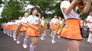 Выставка. Роза. Кансая 2025 г. Япония