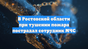 В Ростовской области при тушении пожара пострадал сотрудник МЧС